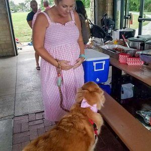Pink Gingham Dress Plus Size or Maternity